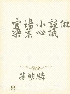 官场小说做局乔梁叶心仪