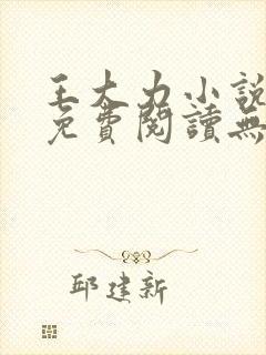 王大力小说小说免费阅读无弹窗