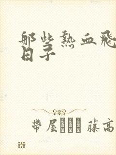 那些热血飞扬的日子封面