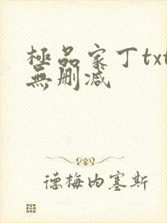 极品家丁txt无删减
