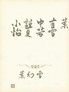 小说中有叶辰孙怡夏若雪