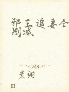 邪王追妻全文无删减封面