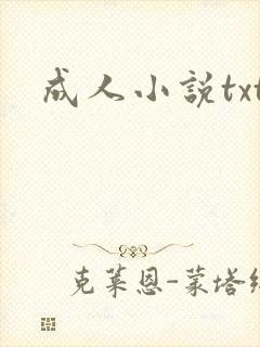 成人小说txt封面