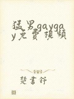 猛男gaygay免费视频