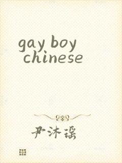 gay boy chinese封面