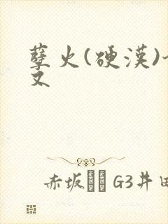 孽火(硬汉)今又