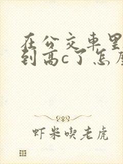 在公交车里c弄到高c了怎么办封面