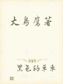 大鸟鹰著封面