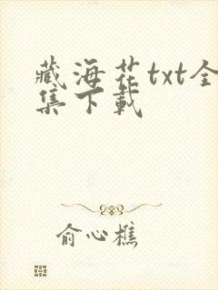 藏海花txt全集下载