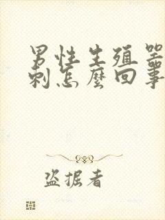 男性生殖器上粉刺怎么回事