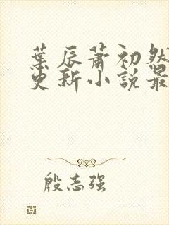 叶辰萧初然最快更新小说最新