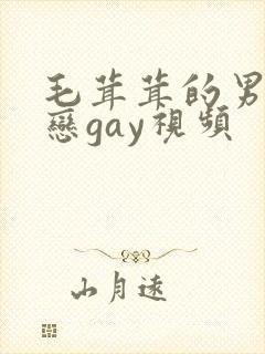 毛茸茸的男同性恋gay视频