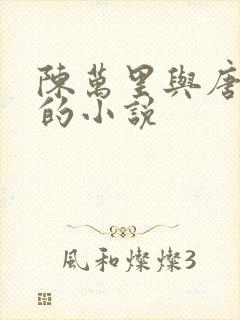 陈万里与唐嫣然的小说