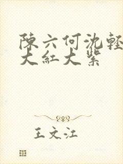 陈六何沈轻舞 大红大紫封面