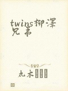 twins柳泽兄弟封面