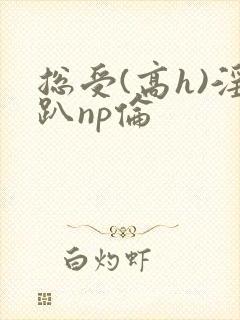 总受(高h)淫趴np伦