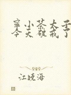 宁小茶太子殿下今天破戒了吗免费阅读