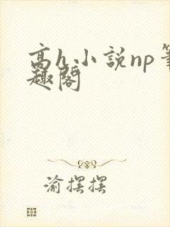 高h小说np笔趣阁
