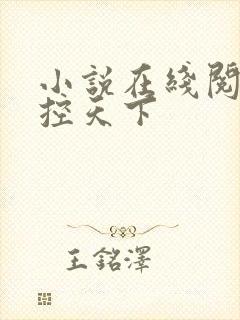 小说在线阅读神控天下