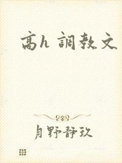 高h 调教文