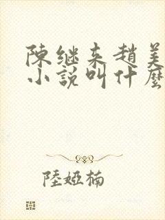 陈继来赵美媛的小说叫什么