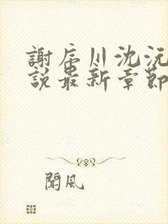 谢序川沈沅珠小说最新章节免费阅读