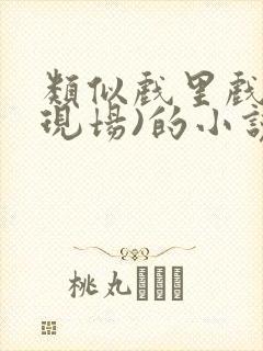 类似戏里戏外(现场)的小说