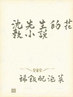 沈先生的花式管教小说