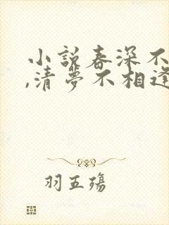 小说春深不归客,清梦不相逢