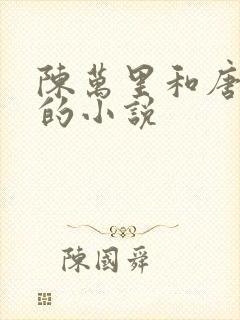 陈万里和唐嫣然的小说