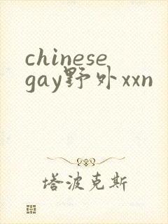 chinesegay野外xxn