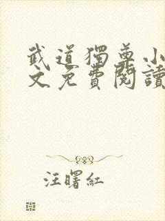 武道独尊小说全文免费阅读