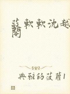 苏软软沈越笔趣阁