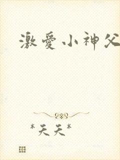 激爱小神父封面