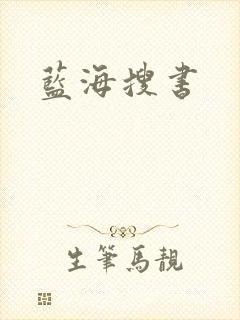蓝海搜书封面