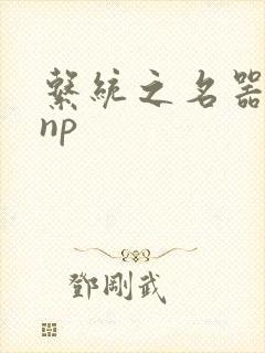 系统之名器攻略np