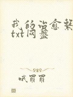 我的治愈系游戏txt网盘