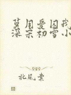 莫用爱囚我傅寒深宋初雪小说