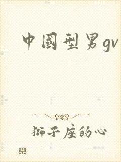 中国型男gv网