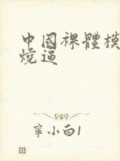 中国裸体模特小烧逼封面