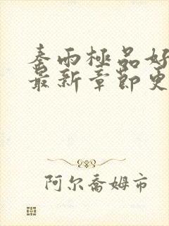 秦雨极品好儿媳最新章节更新免费阅读