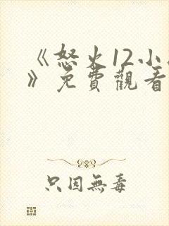 《怒火12小时》免费观看完整版