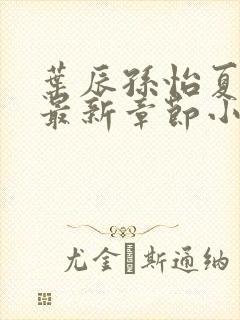 叶辰孙怡夏若雪最新章节小说