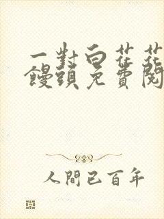 一对白花花的大馒头免费阅读