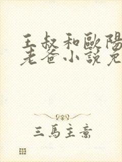 王叔和欧阳局长老爸小说免费阅读