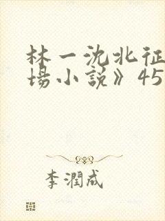 林一沈北征《官场小说》450封面