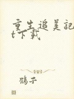 重生追美记txt下载