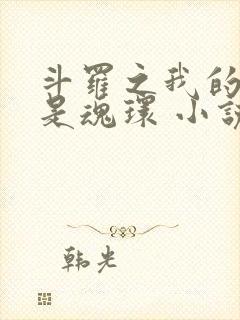 斗罗之我的武魂是魂环 小说