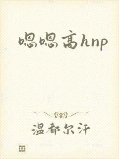 嗯嗯高hnp