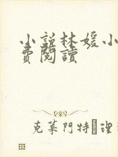 小说林媛小正免费阅读封面